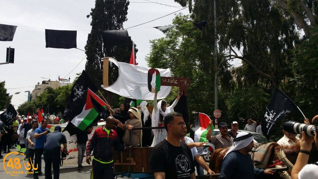 safina yaffa (3).jpg